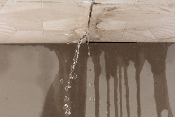 Professional Sewage Cleanup technician working in Ludlow, KY